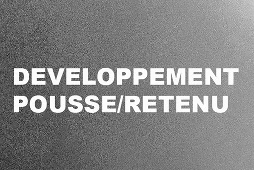 Option - Développement poussé/retenu